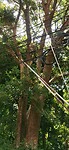 IMG_20240504_115828