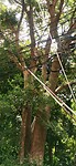 IMG_20240504_115826