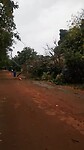 VID_20240509_162151