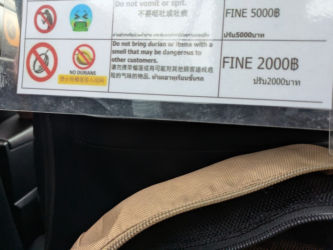 1000020894