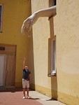 Reach out and touch...
