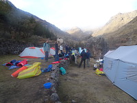Larestrail