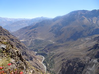 Colca Canyon