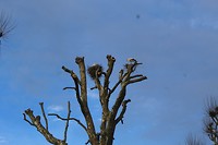 IMG_4051
