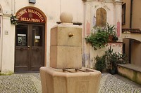 IMG_4074