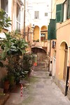IMG_4085