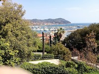 20180407_122031 (2)