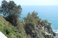 IMG_4136