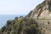 IMG_4137