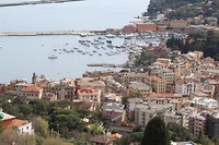 IMG_4248