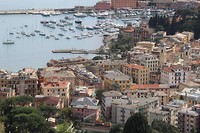 IMG_4253