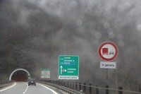 IMG_4270