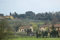 IMG_4312