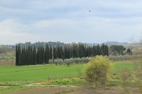 IMG_4314