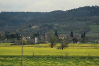 IMG_4322