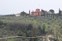 IMG_4346