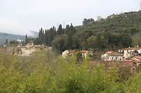 IMG_4422