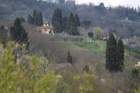 IMG_4423