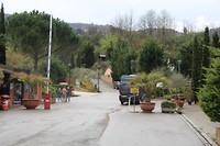 IMG_4424
