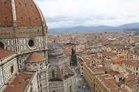 IMG_4537