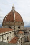 IMG_4551
