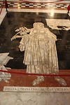 IMG_5006