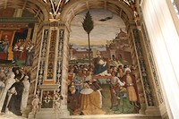 IMG_5050