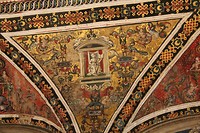 IMG_5053