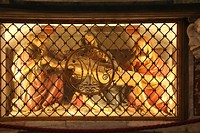 IMG_5074