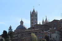 IMG_5148