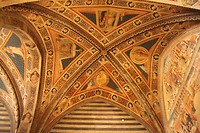 IMG_5480