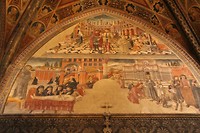 IMG_5482