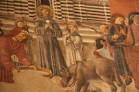 IMG_5485