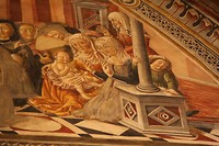 IMG_5486