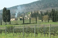 IMG_5666