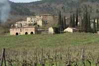 IMG_5670