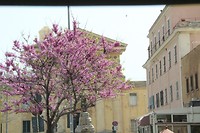 IMG_5729