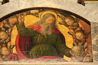IMG_6231