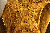 IMG_6240