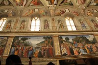 IMG_6505