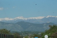 IMG_6778