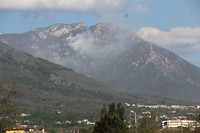 IMG_6819