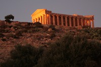 IMG_3269