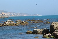 IMG_7157