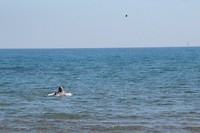 IMG_7233