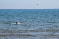 IMG_7234