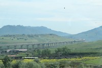IMG_7317