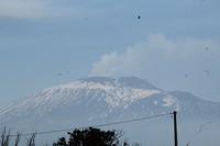IMG_7356
