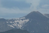 IMG_7382