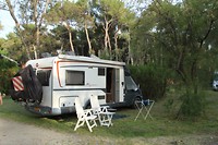 IMG_7525